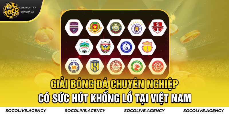 Giải bóng đá chuyên nghiệp có sức hút khổng lồ tại Việt Nam